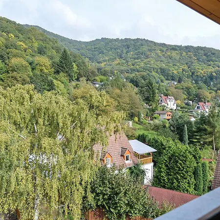 Vila Luxury Private With Pool Ústí nad Labem